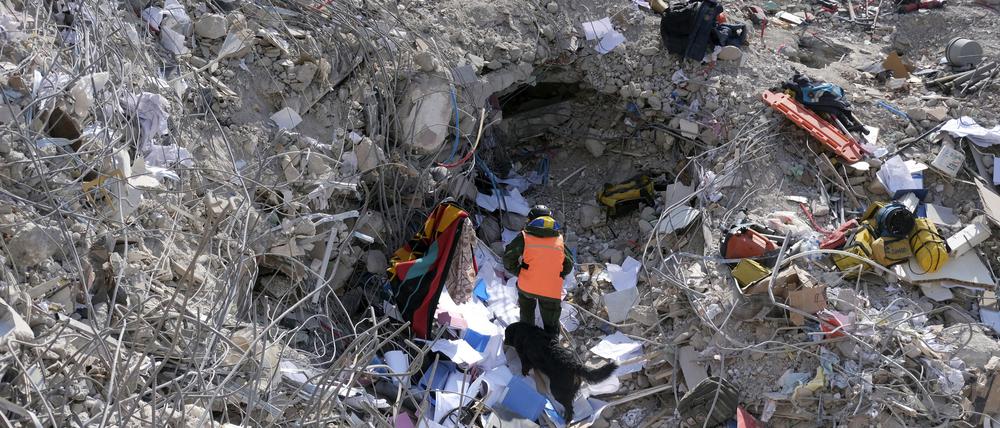 Ein Mann geht mit seinem Hund zwischen den Trümmern eines eingestürzten Gebäudes.