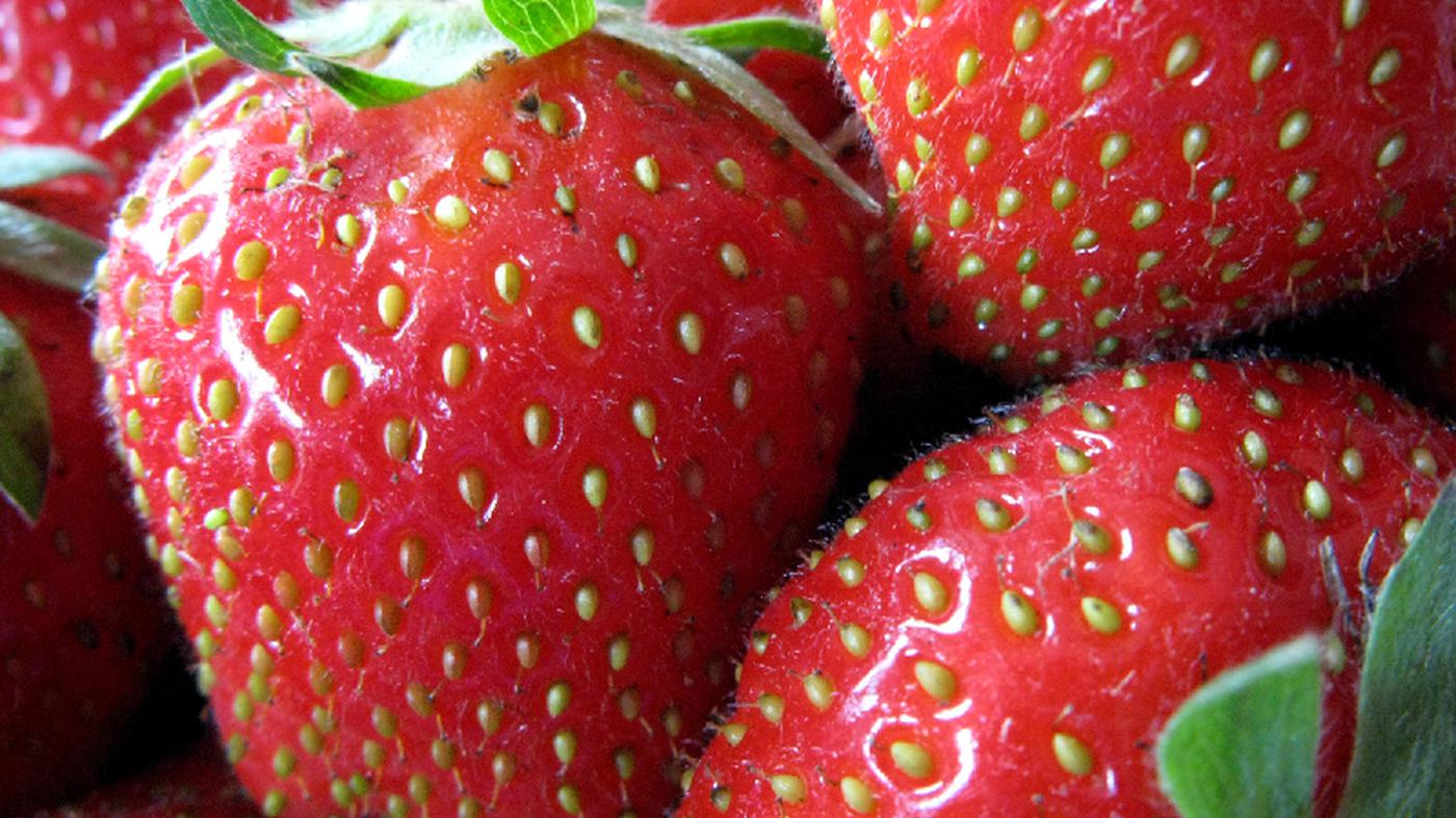 Greenpeace freut sich: Weniger Pestizide in Erdbeeren