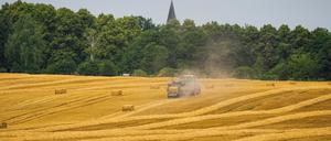19.07.2023, Brandenburg, Biesental: Ein Landwirt fährt mit seinem Traktor über ein Getreidefeld und produziert Strohballen. (zu dpa: «Regen sorgt für Zwangspausen bei Getreideernte - Sorge um Qualität») Foto: Soeren Stache/dpa +++ dpa-Bildfunk +++