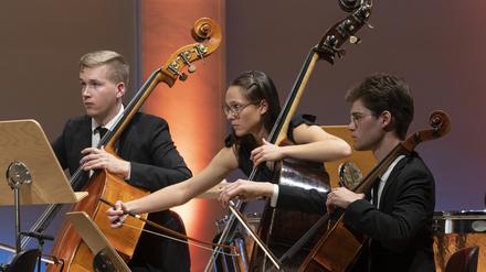 Tiefe Streicher des Orchesters der Estnischen Akademie für Musik und Theater im Konzerthaus.