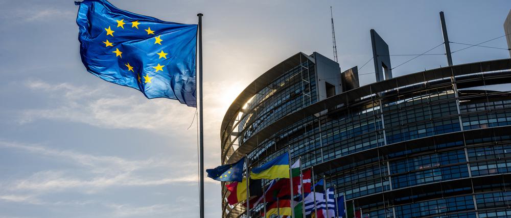Die Flaggen der Europäischen Union, der Ukraine und der Mitgliedsstaaten der EU wehen vor dem Gebäude des Europäischen Parlaments in Straßburg. Das EU-Parlament stimmt am 17. Januar über Greenwashing und Urheberrechte auf Streaming-Markt ab. 