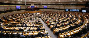 Europaparlament in Brüssel: Die AfD gehört zu der als rechtsextrem eingestuften Fraktion ID.