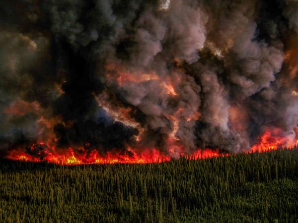 Hunderte Brände in Kanada sind derzeit außer Kontrolle, hier ein Luftbild aus der Provinz British Columbia.