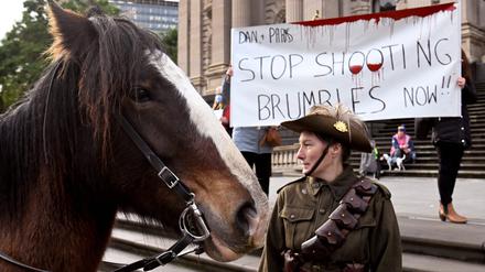 Ein Pferd in Melbourne bei einer Protestaktion. Australien genehmigte am 27. Oktober 2023 den Abschuss von Wildpferden aus der Luft in einem der größten Nationalparks des Landes. (Archivfoto)