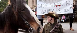 Ein Pferd in Melbourne bei einer Protestaktion. Australien genehmigte am 27. Oktober 2023 den Abschuss von Wildpferden aus der Luft in einem der größten Nationalparks des Landes. (Archivfoto)