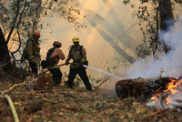 Kampf gegen die Flammen. Kaliforniens Feuerwehrleute kämpfen Tag und Nacht gegen die Brände.