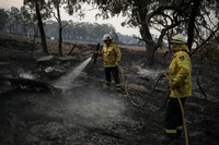 Feuerwehrmänner in New South Wales bekämpfen Glutnester.