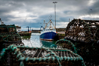 Léger relâchement dans le contentieux de la pêche : la France renonce aux mesures punitives contre la Grande-Bretagne – politique