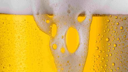 Die im Hopfen enthaltenen Alphasäuren geben dem Bier sein charakteristisches herbes Aroma und beeinflussen die Qualität des Getränks.