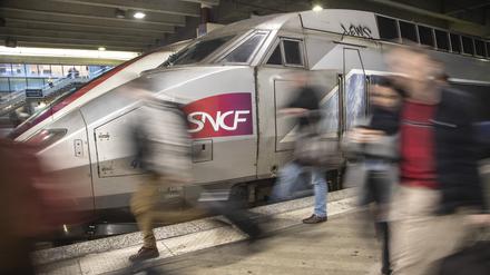 Die französische Bahn SNCF muss für das Überfahren einer Katze eine Entschädigung bezahlen (Symbolbild). 