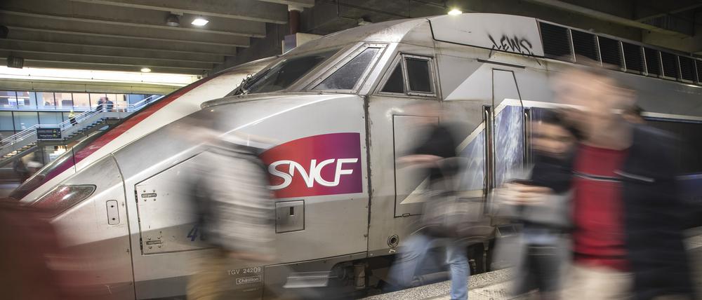 Die französische Bahn SNCF muss für das Überfahren einer Katze eine Entschädigung bezahlen (Symbolbild). 
