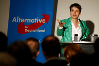 Aussichtsreicher Direktwahlkreis in Sachsen gesucht: Frauke Petry, Bundesvorsitzende der AfD