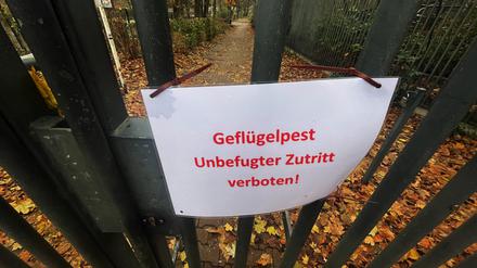 Ein Schild mit der Aufschrift „Gefügelpest. Unbefugter zutritt verboten!“ hängt an einem Tor am Zoo Berlin. 