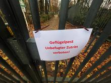 Tiere müssen erneut getestet werden: Berliner Zoo bleibt wegen Vogelpest weiterhin geschlossen 