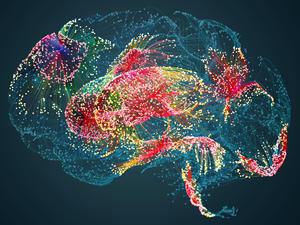 Illustration zu „Gedächtnisspuren“, den Trägern der Erinnerung, im Gehirn