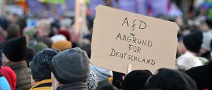 Protest gegen die AfD in Hamburg.