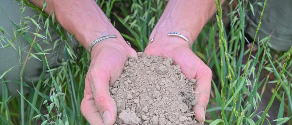Ein Landwirt zeigt mit seinen Händen trockene Erde in einem Haferfeld. Mit drastischen Zahlen weisen Fachleute auf die gesundheitlichen Folgen der Klimakrise hin. 