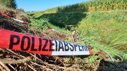 In diesem Graben im Landkreis Diepholz wurde am 10. September die Leiche einer 17-Jährigen gefunden.