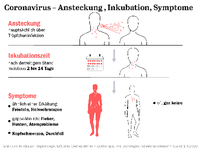 Grafik - Coronavirus: Ansteckung, Inkubation und Symptome