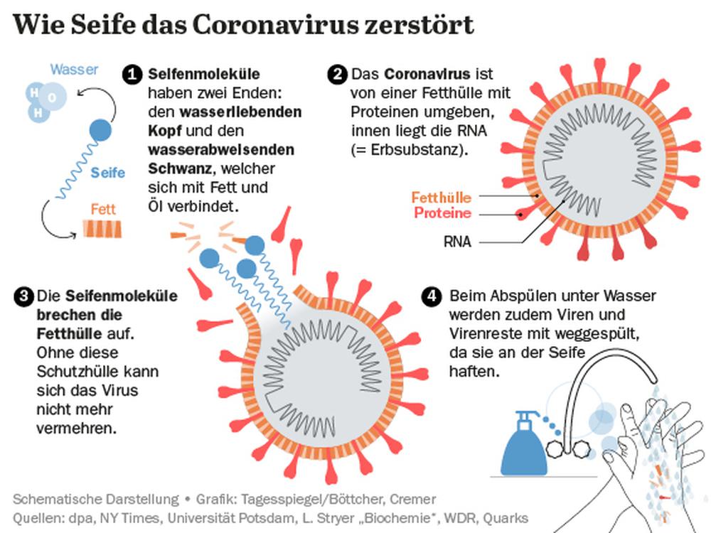 Wie Lang überlebt Coronavirus Auf Oberflächen www.tagesspiegel.de