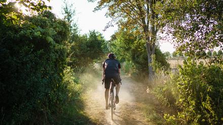 Der moderne Radfahrer weicht auf Schotter-, Wald- und Wiesenwege aus. 