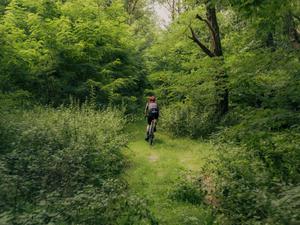 Mitten durchs Grüne: Tagesspiegel-Kolumnist und Fahrrad-Experte Michael Wiedersich auf der Strecke