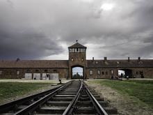 Treppe zum tiefsten Punkt der Menschheit: Die stille Brutalität von Auschwitz 