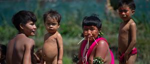 Brasilien hat den Gesundheitsnotstand im größten Indigenenreservat ausgerufen.