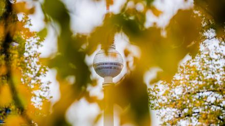 Der Berliner Fernsehturm hinter herbstlich gefärbtem Laub zu sehen. 