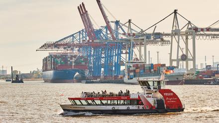 Ein Passagierschiff fährt an den Kränen und Containerschiffen im Hamburger Hafen am HHLA-Terminal Tollerort vorbei.
