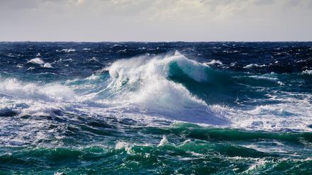 High sea wave during storm at Mediterranean area