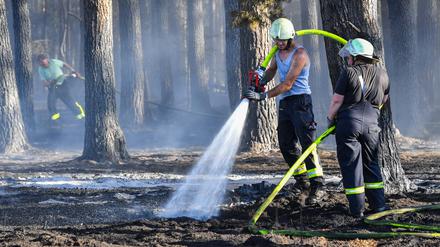 Einsatzkräfte der Feuerwehr löschen letzte Glutnester in einem Kiefernwald im brandenburgischen Limsdorf. 