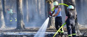 Einsatzkräfte der Feuerwehr löschen letzte Glutnester in einem Kiefernwald.