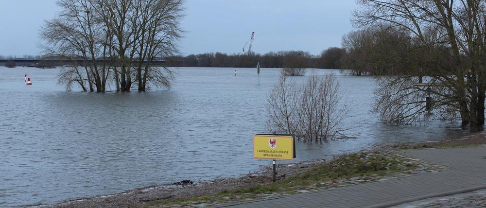 29.12.2023, Brandenburg, Wittenberge: Im Nedwighafen am Elbufer stehen sonst Camper und Wohnwagen. Jetzt ist die Fläche von Wasser und Schlamm überflutet. Laut Vorhersage wird am Freitagabend ein Pegel von 5,45 Metern erwartet. Er soll bis Neujahr auf 6,15 Meter steigen. Foto: Oliver Gierens/dpa +++ dpa-Bildfunk +++