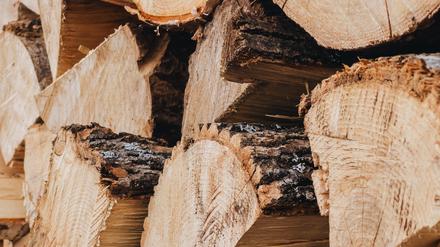 Holz ist in Zeiten hoher Energiepreise besonders gefragt.