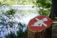 Das Hundeverbot an Zehlendorfer Seen ruft Obrigkeitsdenken hervor, findet unsere Autorin. Für sie ist der soziale Frieden im Wald wegen des Verbots gestört