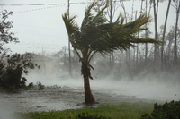 Sturmböen von Hurrikan „Dorian“ peitschen über die Bahamas