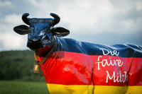 Deutschland-Kuh: Werbung für Milch, für die deutsche Milchbauern höhere Preise bekommen.