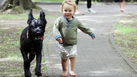 Kleinkind läuft einem Hund hinterher.
