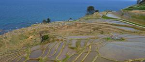 Ein Reisfeld in der Region Ishikawa, in der sich am 5. Mai ein schweres Erdbeben ereignete.