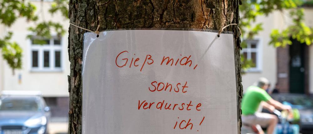 Gieß mich, sonst verdurste ich – Hinweiszettel zum Gießen eines Berliner Straßenbaums.