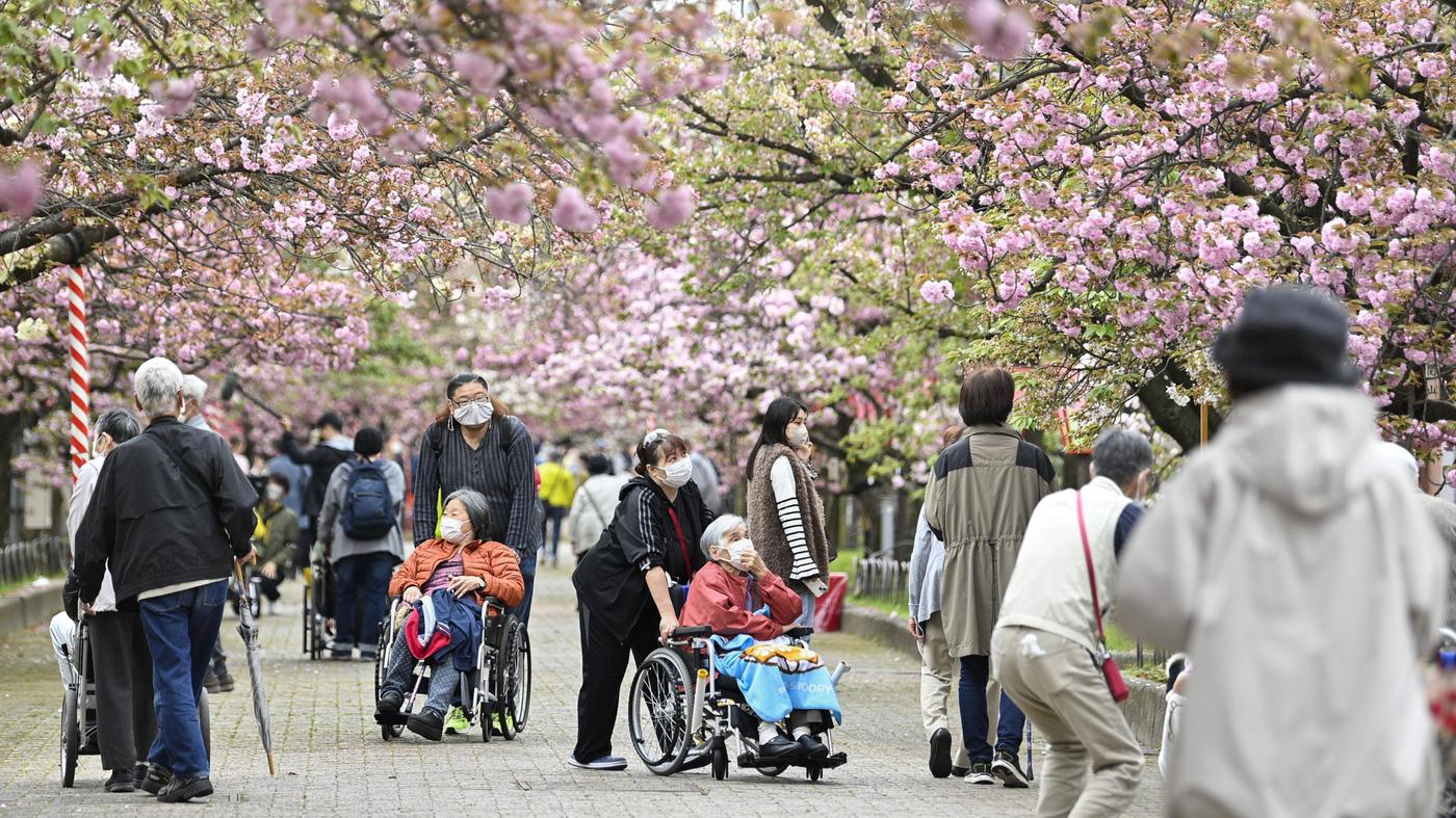 日本人の1割以上が80歳以上