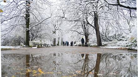 Menschen spazieren in einem Park nach dem ersten Schneefall dieses Winters.