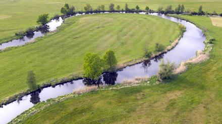 Die Spree in Mönchwinkel bei Grünheide.  Der Fluss könnte laut einer Studie künftig in trockenen Sommermonaten örtlich bis zu 75 Prozent weniger Wasser führen.