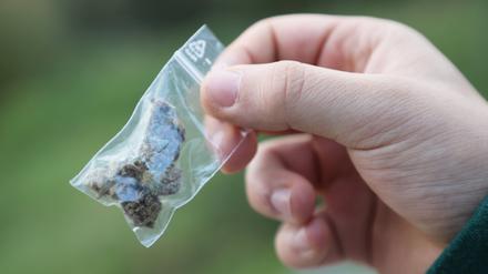 Ein Männ hält ein kleines soganntes Baggy (durchsichtiger Zip-Beutel) mit gebrauchsfertigem Cannabis in der Hand.