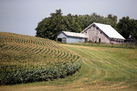 Eine Farm im US-Bundesstaat Iowa