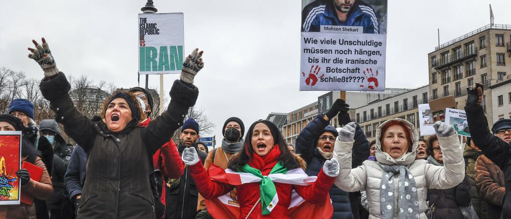 Demonstranten in Berlin