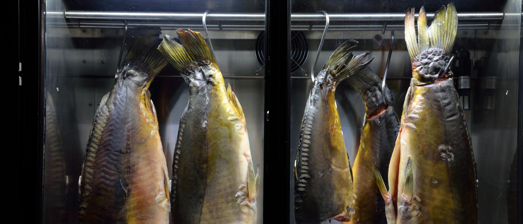Echter Versandhandel Die Reifeprüfung: Warum Spitzenköche Fisch tagelang in hängen den Schrank