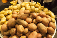 Mit der Kartoffelernte gelangte eine deutsche Weltkriegsgranate nach Hongkong.