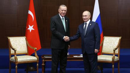 Zwei Alphatiere: Der türkische Präsident Erdogan gefällt sich in der Rolle des Vermittlers gegenüber Wladimir Putin. 